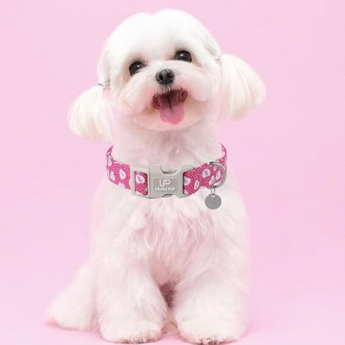 Image of Valentine's Day Dog Collar, Pink Heart Dog Collar with Quick Release, Valentine's Day Gift Pet Collar for Puppy Girl Boy Dog, Wedding Dog Collar