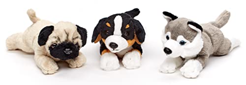 Uni-Toys - Berner Sennenhund Plushie (ohne Leine) - 21 cm (Länge) - Plüsch-Hund, Haustier - Plüschtier, Kuscheltier