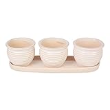 DII Ceramic Planter Collection Herb Pot Set, Cream Round,...