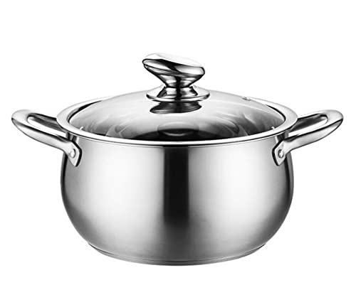Horno holandés con tapa de cristal, cacerola de acero inoxidable con tapa, mini cacerola de 24 cm