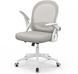 naspaluro Home Office Chair Ergonomic Desk Chair Swivel Computer Chair Mid-Back Mesh Chair with Flip-up Armrests and Lumbar Support for Home/Office - Gray