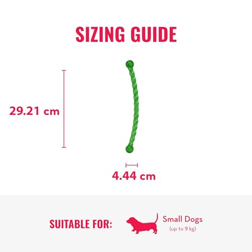KONG – SafeStix – Robustes Apportierspielzeug aus Flexiblem, Sicherem Material – Für Kleine Hunde