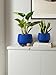 LE TAUCI Plant Pots, 4.1+5.1+6.5 inch, Set of 3, Ceramic Planters with Drainage Hole and Saucer, Indoor Flower Pot with Hole Mesh Pad, Gifts for Mom, Sapphire Blue