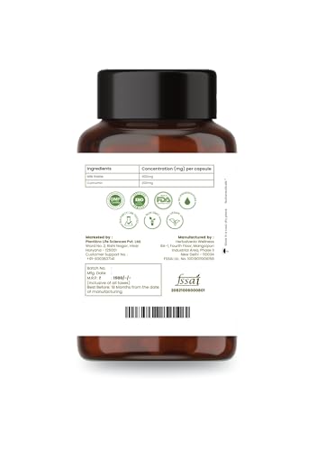Image of Liver Support Capsules - Milk Thistle & Nano Curcumin (650mg) | Herbal Detox & Gut Health Supplement | Supports Liver Cleanse, Skin Health & Immunity (60 Capsules)