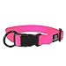 Hamilton 1-Inch Adjustable Dog Collar, Large, Fits 18-Inch by 26-Inch, Hot Pink