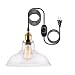 HMVPL Industrial Plug in Edison Pendant Light, Rustic Mini Swag Hanging Lighting Fixture with Clear Glass Shade for Kitchen Island Dining Room Living Room Bedroom Hallway