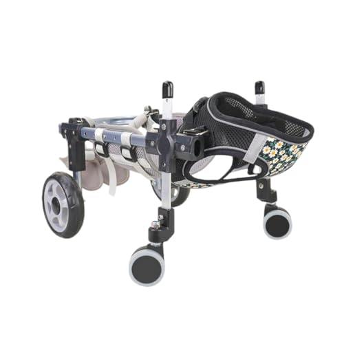 XVVXpԈ֎qAybgs ASnǂAtȒPŁATCY\ArArւɉe^AԈ֎qɎtĽ둫T|[gAi[Ōyʂȃybg⏕ԗBɓKĂ܂ (ubN - 4,MTCY)