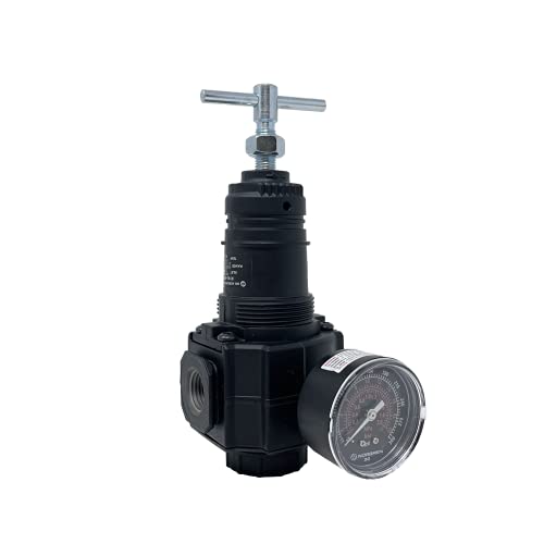 R74G-4AT-RSG : Norgren Excelon R74G Series, 1/2 PTF Ports, t-bar Adjustment, Relieving, 10 to 250 psi Outlet Pressure Range, wit