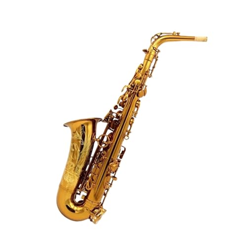 tFbViTbNX _[NS[hbJ[ Etbg AgTbNXiP[Xtj