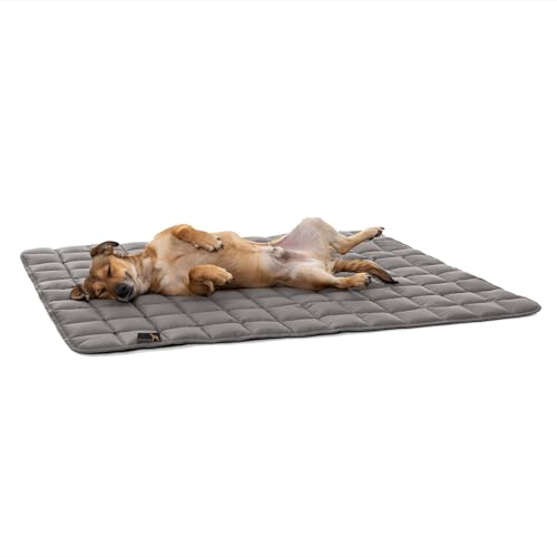 Pointer | Hundedecke 110 x 90 cm, Gepolstert & Strapazierfähig - Hundematte Waschbar bis 95°C, Liegedecke für Boden oder Sofaschutz - Outdoor geeignet (L - 110x90 cm, Hellgrau)