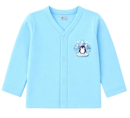 Image of Lush Plush Boys Cotton Full Sleeves Printed T-Shirt (Multicolor) Combo Pack