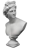 Good Buy Gifts Apollo Bust Sculpture - Classic Greek God Statue - 12.5 Inch Height