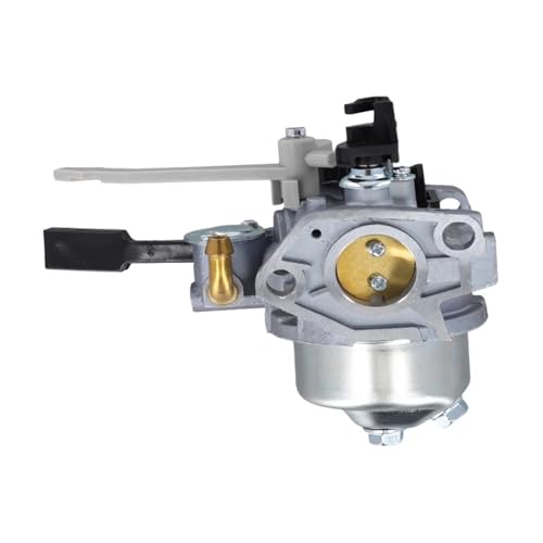 Kit de carburateur 817370 pour moteur 305CC XR1450 et 19N132