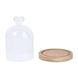 Récipients avec couvercles : couvercle d'affichage en verre pour fabrication artisanale, livré avec un fond antidérapant et ne se déforme pas facilement.