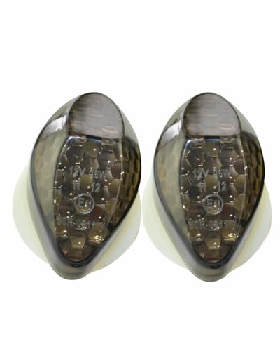 UUIUYGH intermitentes moto homologados Para CBR Para 600RR Para 1000RR 2004-2007 2 Uds Lámpara De Señal De Motocicleta Montaje Empotrado LED Luz De Intermitentes Delanteras