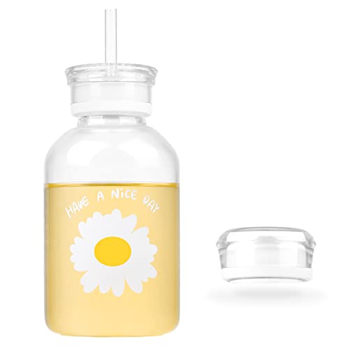 WHJY 16oz Cute Matte Glass Water Bottle with Straw, Milk Juice Bottle with Scale, 2 Lids, Little Daisy Sunflower Portable Cup - Clear Sunflower