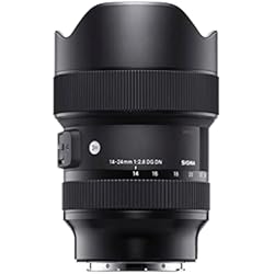 Amazon.co.jp: 【セット買い】SIGMA 14-24mm F2.8 DG DN | Art A019