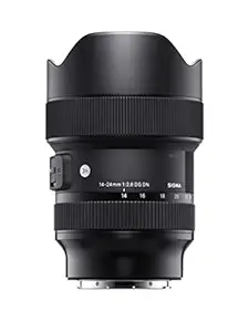 Sigma 14-24mm f/2.8 DG DN Art Lens for Sony E Mount Mirror-Less Cameras (Black)