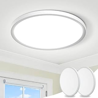 LED Ceiling Light [2 Pack], 24W 2100LM Round Bathroom Ceiling Light, IP44 Waterproof Ceiling Lights Daylight White 5000K Modern Flush Ceiling Light for Bedroom Living Room Office Kitchen HallwayØ22CM