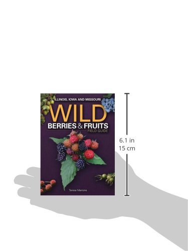 Wild Berries & Fruits Field Guide Of Illinois, Iowa And Missouri (Wild Berries & Fruits Identification Guides) #TOP1
