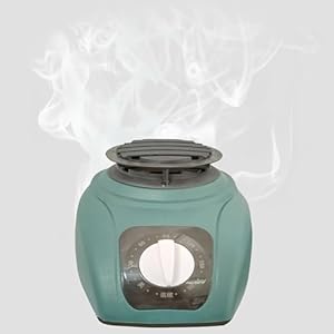 Droger Gastheer Accessoires, Drogen Kleren Thuis Mute Kleren Lucht Droge Gastheer Mini Warmer, Bescherming Tegen Oververhitting, Met Timing, 1500W