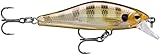 Rapala