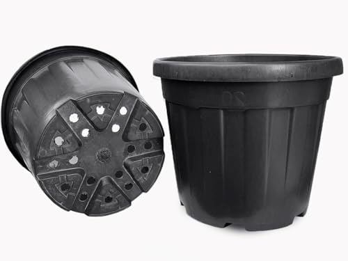 Tiesto Maceta Grande macetón Decorativa