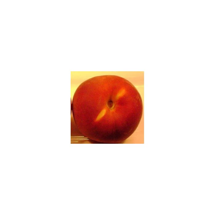 karla rose nectarine