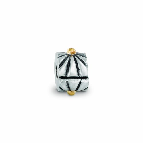 Pandora 79216 de plata de ley con detalles pulidos hechos a mano