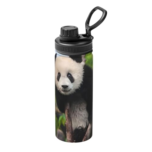 ステンレス ボトル パンダ」の人気商品一覧 | 安い商品を通販サイト