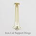 BE-Tool Lid Support Hinge, Easy to Use Gold Hardware Suitable for Boxes Cases Cabinet (Screws not Included)