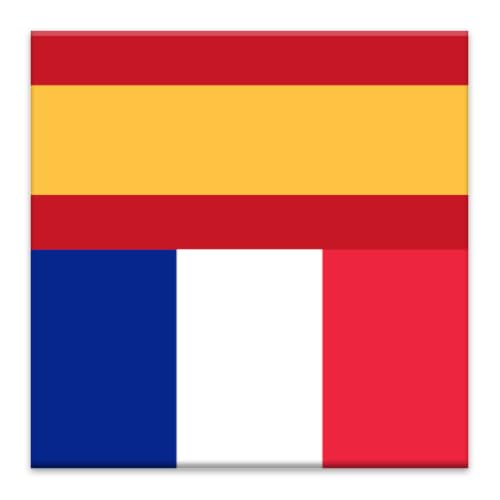Offline Spanish French Dictionary