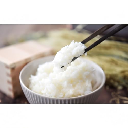 [令和7年産米] 北海道産ゆめぴりか5kg