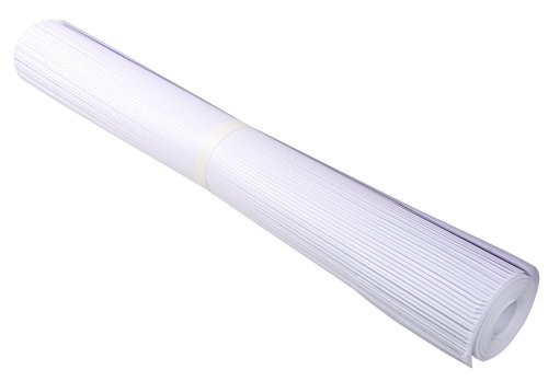 Exacompta 36651E Flipchartblock gelocht und perforiert, 65x100 cm, 50 Blatt blanko 70g