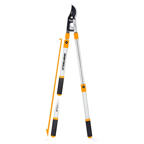 Best Ratcheting Loppers With Telescopic Handles