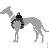HUNTER Hundegeschirr HILO COMFORT, Farbe: anthrazit, Easy Step-In Geschirr für kleine bis mittlere Hunde, mit Netzmaterial, reflektierende Elemente, angenehm leicht, modernes Design Größe: S
