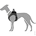 HUNTER Hundegeschirr HILO COMFORT, Farbe: anthrazit, Easy Step-In Geschirr für kleine bis mittlere Hunde, mit Netzmaterial, reflektierende Elemente, angenehm leicht, modernes Design Größe: S