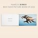 You Stole My Name: A Rhyming Book of Animals That Sound Alike (You Stole My Name Series)