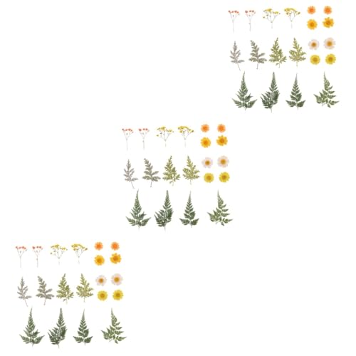 SEWACC 6 Folhas 20 Unidades Flores Secas à Mão Enfeites De Artesanato Flor Seca De Resina Epóxi Flor