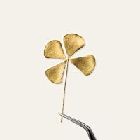 HOLM CRAFT Glücksbringer Kleeblatt Gold – Viel Glück Geschenk für Prüfung, Neuer Job & Genesung – Echtes vierblättriges Kleeblatt im Glas – Glücksbringer Prüfung Geschenk – Ansicht 4