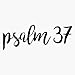 Psalm 37 Bumper Sticker Vinyl Decal 5