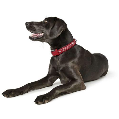 HUNTER SOFTIE TRILUXE Hundehalsband, Kunstleder, glitzernde Strasssteine, 55 (M), rot