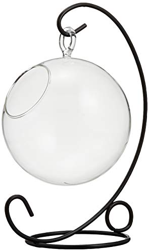 jb\[ e[uANAOX nK[|bg