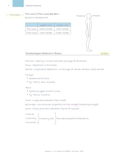Image of M-8.0 Anatomy Marrow MBBS First Year Main Notes | Edition 2025-26 (Marrow Edition)
