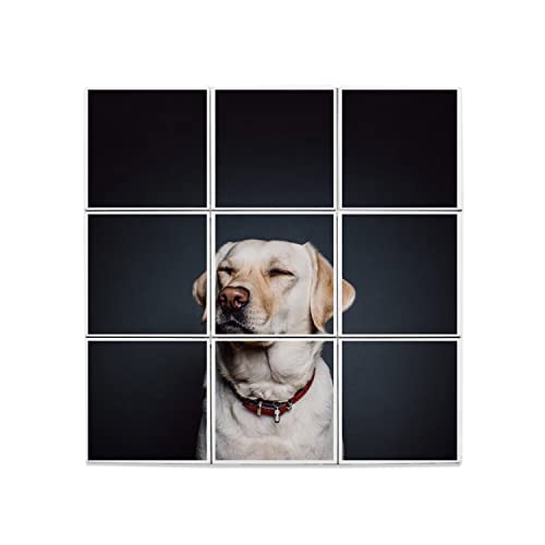 Carreaux Céramique Décoratif Chien Labrador Sable Fond Noir Tableau Mural 60x60