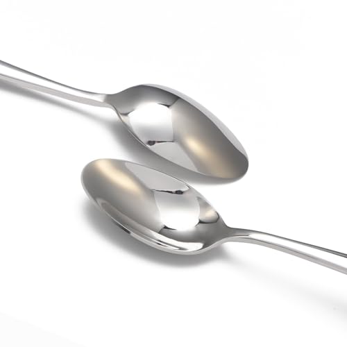 Remoxye 8-Piece Stainless Steel Spoon Set