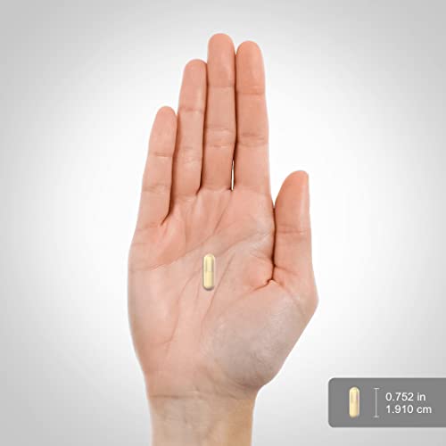 Lindberg Milk Thistle Extract 175 Mg, 60 Vegetarian Capsules- Standardized To 80% Silymarin #TOP2