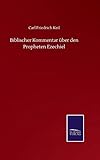  Biblischer Kommentar über den Propheten Ezechiel