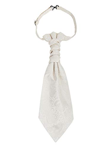 WANYING Uomo Cravatta Plastron Pre-legata Pre Annodata con Chiusura a Gancio Regolabile Cravatta Larga Cravatta Sposo da Cerimonia - Motivo Paisley Bianco