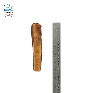 Best Pet Supplies GigaBite 6 Inch Monstrous Bully Sticks (8 Pack) - All Natural, Free Range Beef Pizzle Dog Treat Best Pet Supplies GigaBite 6 Inch Monstrous Bully Sticks (8 Pack) – All Natural, Free Range Beef Pizzle Dog Treat